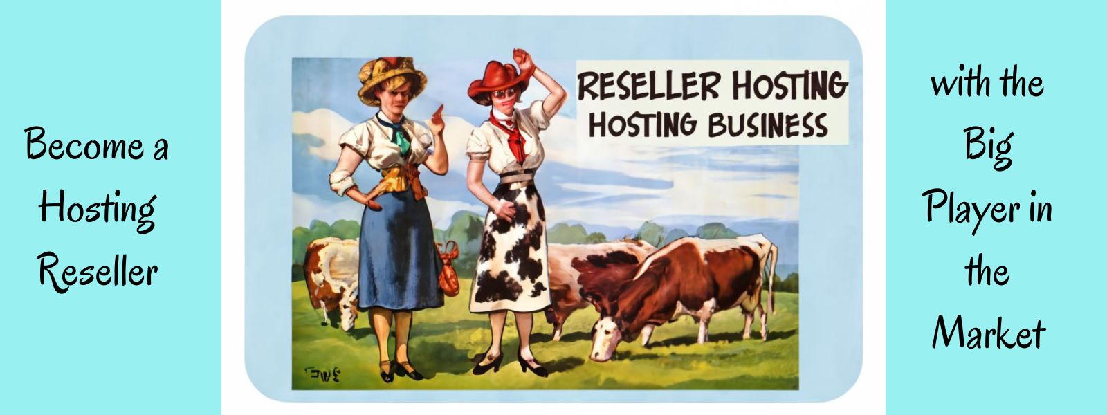 How Does Reseller Hosting Work